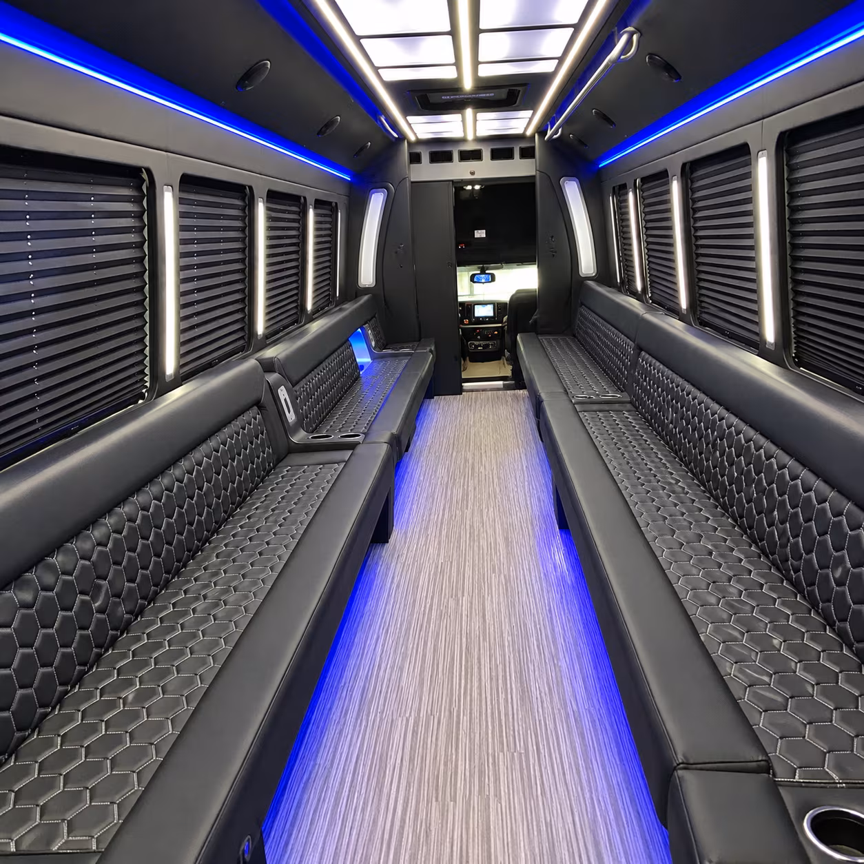 birthday party bus rental